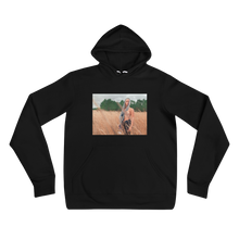 Load image into Gallery viewer, Field of Dreams - Unisex hoodie